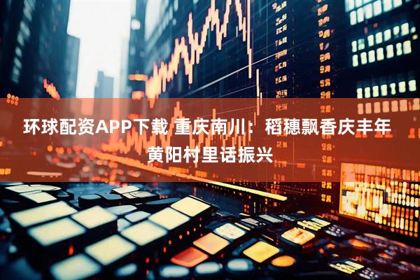 环球配资APP下载 重庆南川：稻穗飘香庆丰年 黄阳村里话振兴