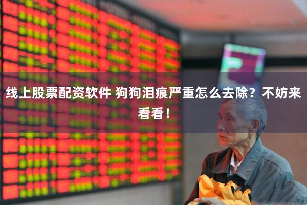 线上股票配资软件 狗狗泪痕严重怎么去除？不妨来看看！