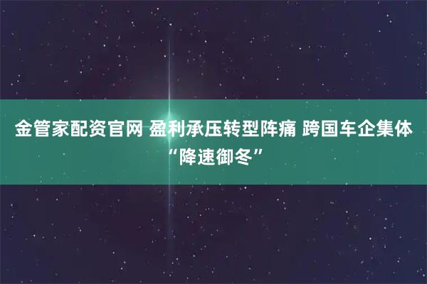 金管家配资官网 盈利承压转型阵痛 跨国车企集体“降速御冬”
