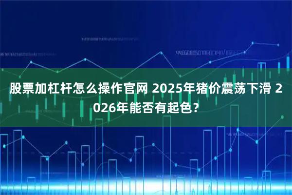 股票加杠杆怎么操作官网 2025年猪价震荡下滑 2026年能否有起色？