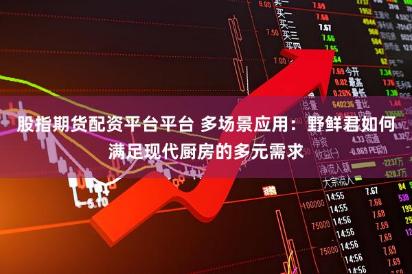 股指期货配资平台平台 多场景应用：野鲜君如何满足现代厨房的多元需求