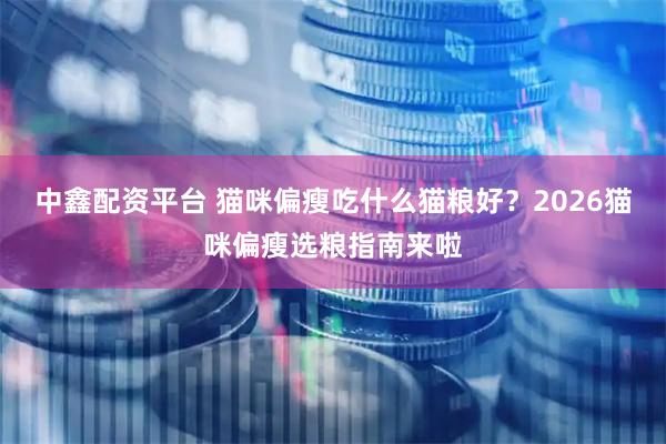 中鑫配资平台 猫咪偏瘦吃什么猫粮好？2026猫咪偏瘦选粮指南来啦