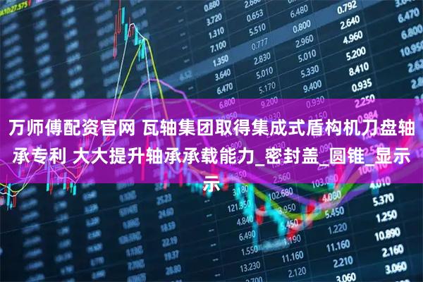 万师傅配资官网 瓦轴集团取得集成式盾构机刀盘轴承专利 大大提升轴承承载能力_密封盖_圆锥_显示