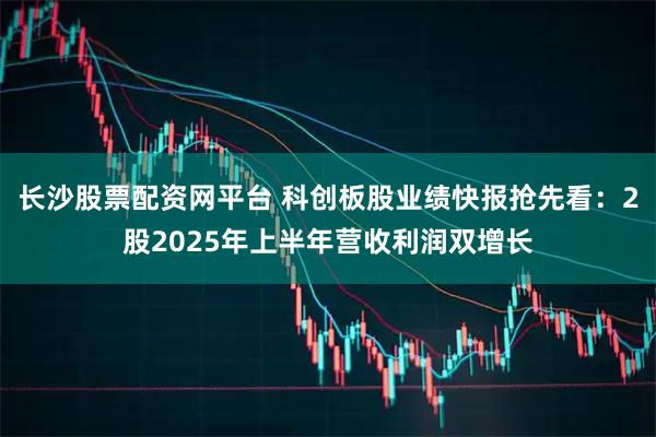 长沙股票配资网平台 科创板股业绩快报抢先看：2股2025年上半年营收利润双增长