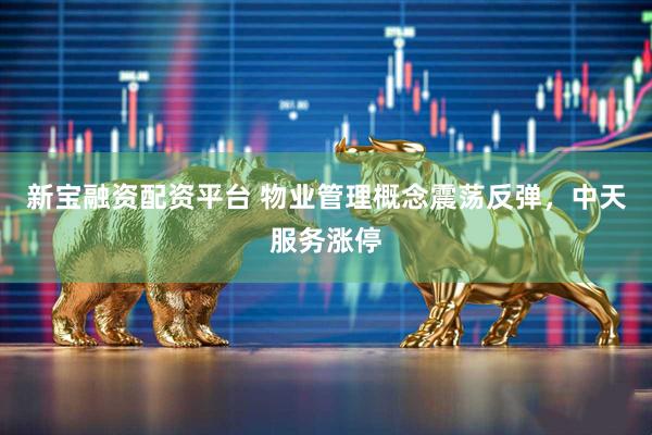 新宝融资配资平台 物业管理概念震荡反弹，中天服务涨停