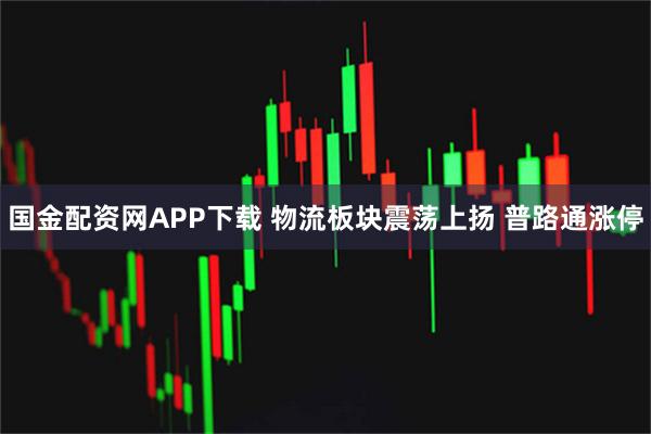 国金配资网APP下载 物流板块震荡上扬 普路通涨停